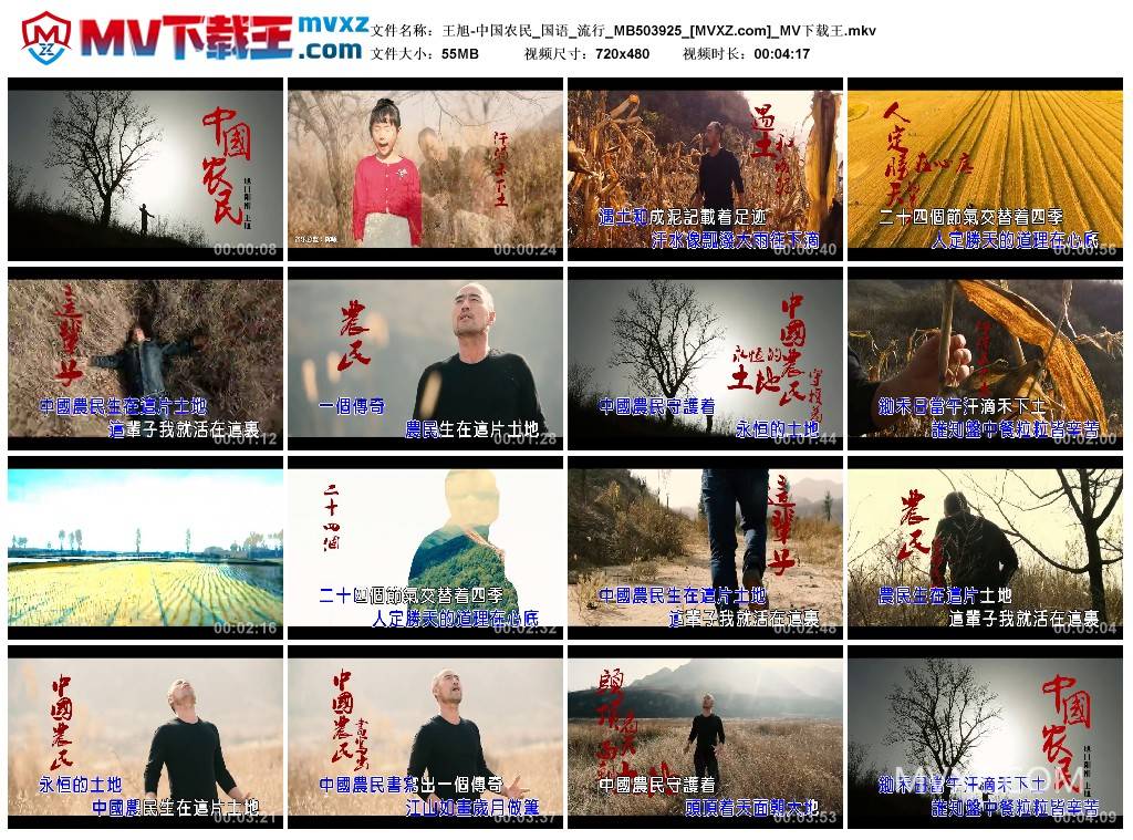 王旭-中国农民_国语_流行_MB503925